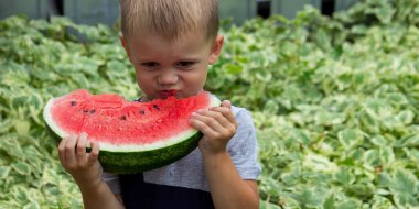 A child eats a watermelon. Selective focus. Nature