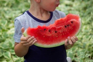 A child eats a watermelon. Selective focus. Nature