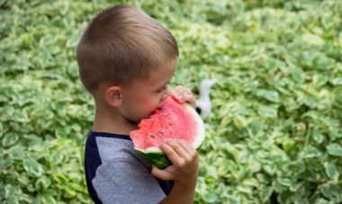 A child eats a watermelon. Selective focus. Nature