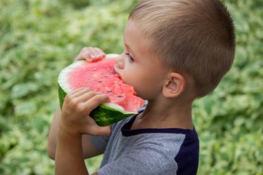 A child eats a watermelon. Selective focus. Nature