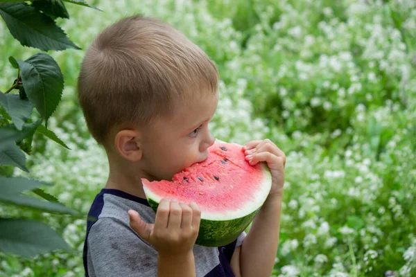 A child eats a watermelon. Selective focus. Nature
