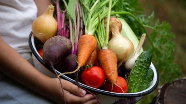 the boy is holding a bowl of freshly picked vegetables from the farm. Organic products. Selective focus