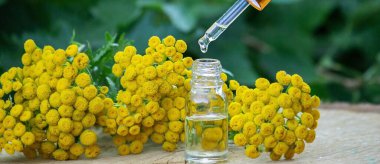 essential oil from the immortelle plant. nature selective focus clipart