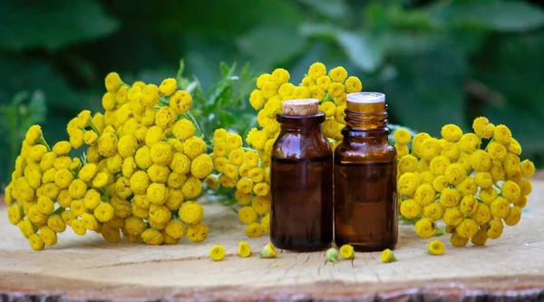 essential oil from the immortelle plant. nature selective focus