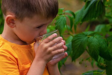 Çocuk bardaktan su içiyor. Seçici odaklanma. Çocuk.