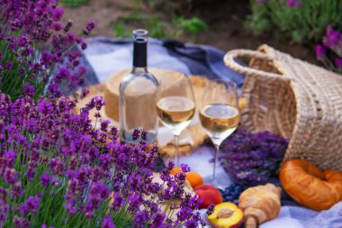 wine, fruits, berries, cheese, glasses picnic in lavender field Selective focus Nature