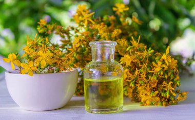 St. John 's küçük bir şişede gerekli yağ. Seçici odaklanma. Doğa.