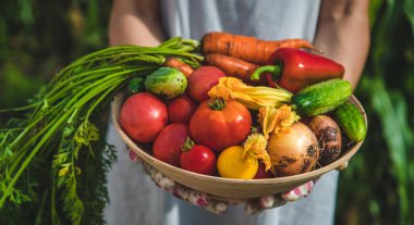 Farmer woman harvests vegetables in the garden. Selective focus. Food.