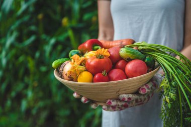 Farmer woman harvests vegetables in the garden. Selective focus. Food.