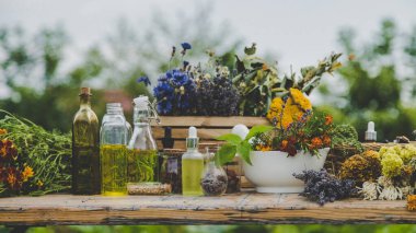 Medicinal herbs and natural tinctures. Selective focus. Nature.