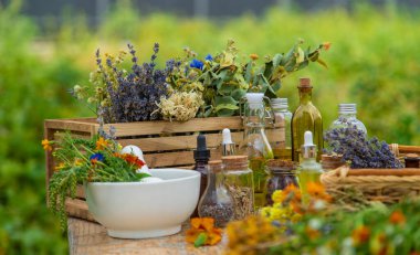 Medicinal herbs and natural tinctures. Selective focus. Nature.
