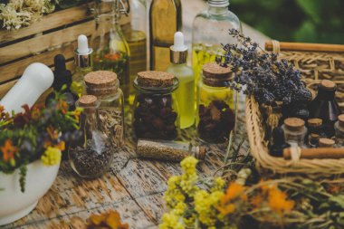 Medicinal herbs and natural tinctures. Selective focus. Nature.