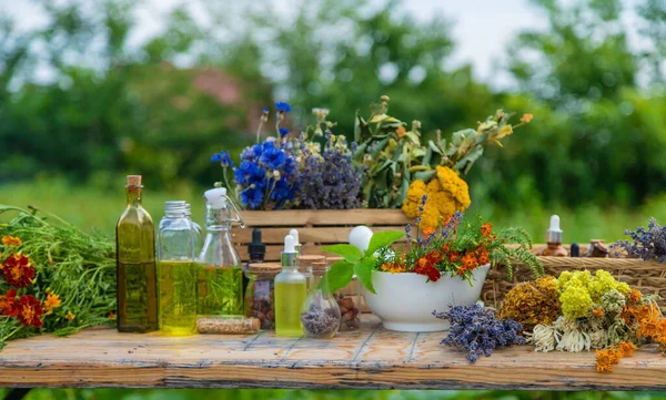 Medicinal herbs and natural tinctures. Selective focus. Nature.