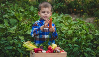 Bahçesinde bir kutu sebzeli çocuk. Seçici odak