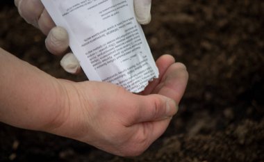 Lahana eken bir çiftçinin eline yakın plan. Seçici odak