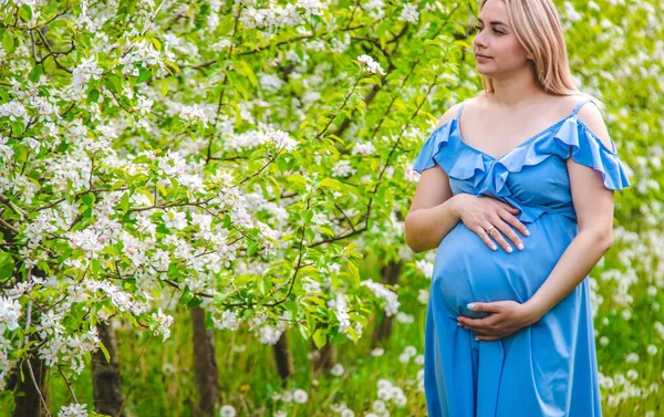 Gravid Kvinne Hagen Til Blomstrende Epletrær Selektivt Fokus Natur – stockfoto