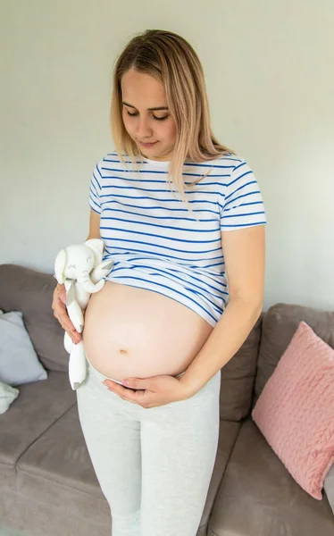 Schwangere Frau Und Weißer Elefant Selektiver Fokus Niedlich — Stockfoto