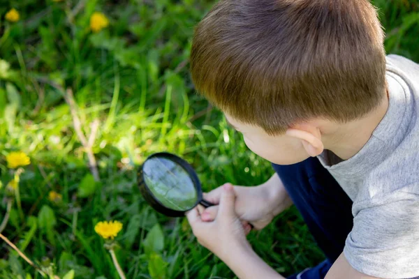 Pojken Tittar Blomman Genom Ett Förstoringsglas Selektivt Fokus — Stockfoto