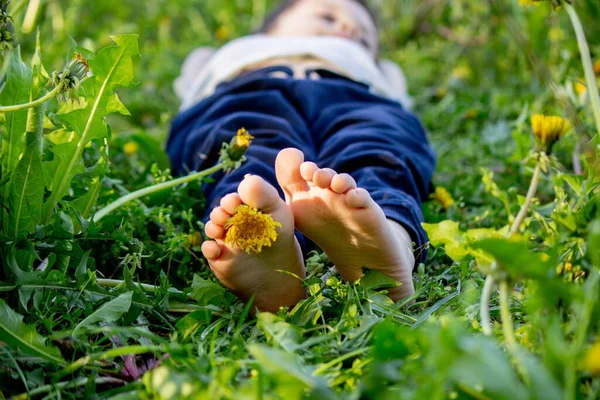 Dandelion Baby Legs Spring Sunny Weather Selective Focus — Stock Photo, Image