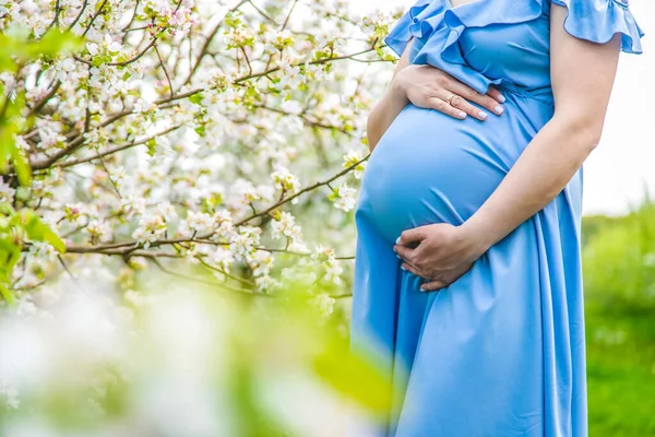 在苹果树盛开的花园里怀孕的女人 有选择的重点 — 图库照片