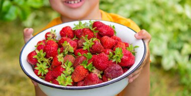 Çocuk taze toplanmış çileklerle dolu bir kase tutuyor. Seçici odak