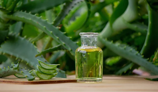 Aceite Esencial Aloe Vera Sobre Fondo Madera Jugo Enfoque Selectivo — Foto de Stock