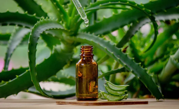 Aloe Vera Essential Oil Wooden Background Juice Selective Focus — Stock Photo, Image