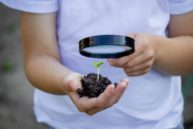 Çocuk elinde filizle toprağı tutuyor ve büyüteçle bakıyor. Seçici odak