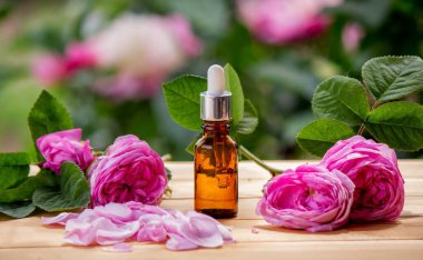 Gül çiçeği ve temel yağ. Spa ve aromaterapi. Seçici odak