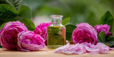 Gül çiçeği ve temel yağ. Spa ve aromaterapi. Seçici odak