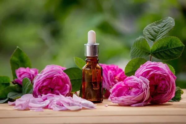 stock image rose flower and essential oil. Spa and aromatherapy. Selective focus