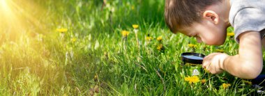 Çocuk büyüteçten çiçeğe bakıyor. seçici odak