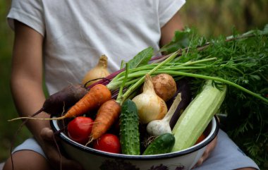 Bahçedeki çocuk elinde taze toplanmış sebzelerle dolu bir kase tutuyor. seçici odak