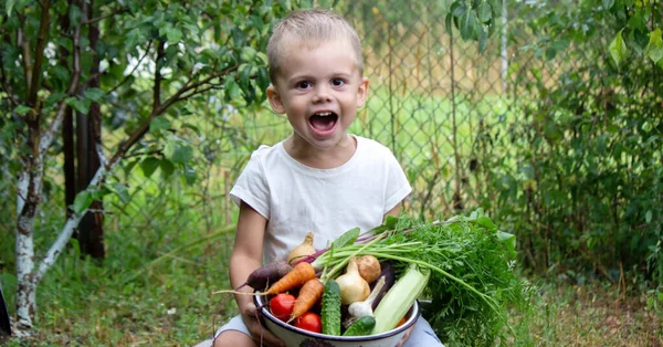 Bahçedeki Çocuk Elinde Taze Toplanmış Sebzelerle Dolu Bir Kase Tutuyor — Stok fotoğraf