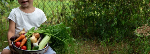 Bahçedeki Çocuk Elinde Taze Toplanmış Sebzelerle Dolu Bir Kase Tutuyor — Stok fotoğraf