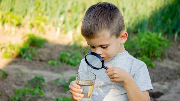 Ett Barn Tittar Vattnet Genom Ett Förstoringsglas Selektivt Fokus Natur — Stockfoto
