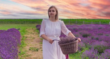 Lavanta tarlasında bir kız. Seçici odaklanma. Doğa