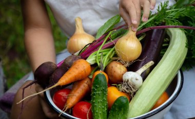 Bir çocuk elinde sebze hasadı tutuyor. Seçici odaklanma. Doğa.