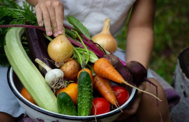 Bir çocuk elinde sebze hasadı tutuyor. Seçici odaklanma. Doğa.