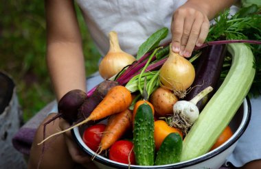 Bir çocuk elinde sebze hasadı tutuyor. Seçici odaklanma. Doğa.