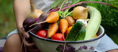 Bir çocuk elinde sebze hasadı tutuyor. Seçici odaklanma. Doğa.