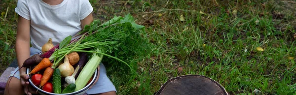 Ein Kind Hält Eine Gemüseernte Den Händen Selektiver Fokus Natur — Stockfoto
