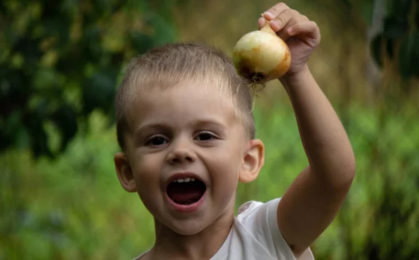 Bir Çocuk Elinde Sebze Hasadı Tutuyor Seçici Odaklanma Doğa — Stok fotoğraf