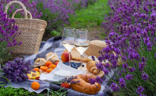 野餐在薰衣草地 休息在自然界 葡萄酒 有选择的重点 — 图库照片