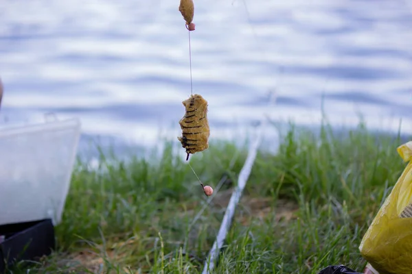 Рибальська Приманка Рибальська Річка Вибірковий Фокус Природа — стокове фото