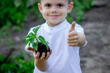 Çocuk elinde bir filiz tutuyor. Seçici odaklanma. Doğa