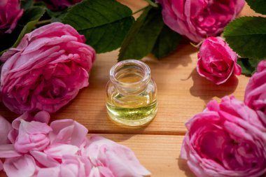 Gül çiçeği ve temel yağ. Spa ve aromaterapi. Seçici odak