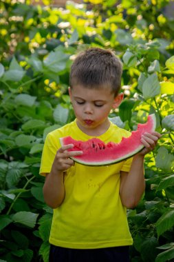 A child eats a watermelon. Selective focus. Nature