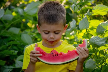 A child eats a watermelon. Selective focus. Nature