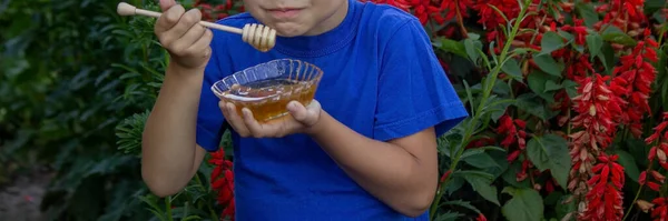 Boy Eats Honey Garden Honey His Apiary Selective Focus Nature — Stock Photo, Image